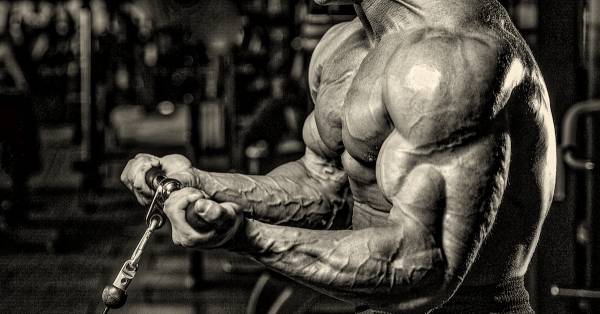 DEZVOLTAREA MASEI MUSCULARE