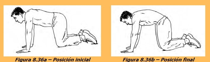 EXERCIȚII ABDOMINALE(24)